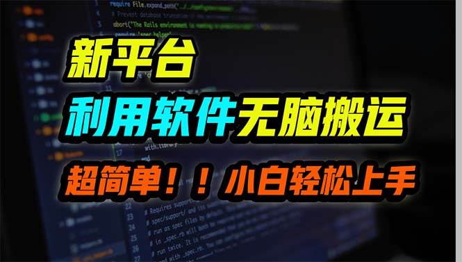 新平台用软件无脑搬运，月赚10000+，小白也能轻松上手-项目网