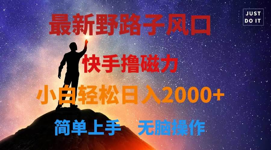 最新风口！快手撸磁力，野路子，小白无脑操作日入2000+-项目网