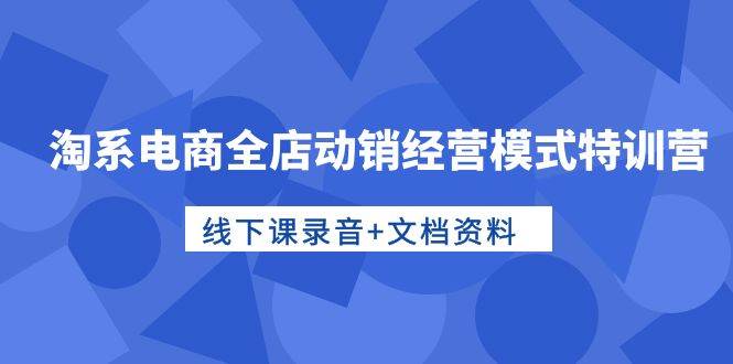 淘系电商全店动销经营模式特训营，线下课录音+文档资料-项目网