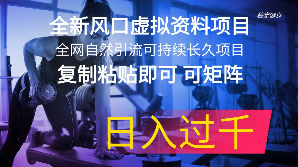 全新风口虚拟资料项目 全网自然引流可持续长久项目 复制粘贴即可可矩阵…-项目网