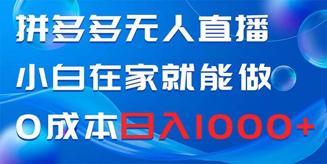拼多多无人直播，小白在家就能做，0成本日入1000+-项目网