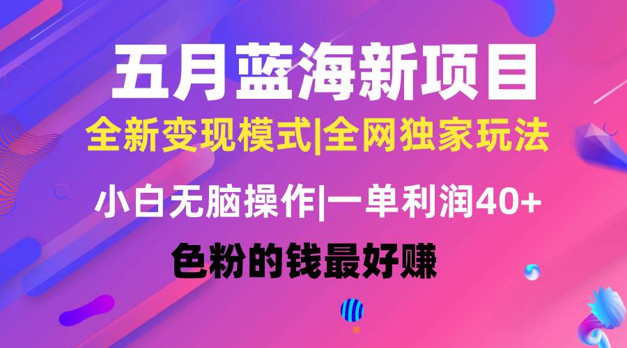 五月蓝海项目全新玩法，小白无脑操作，一天几分钟，矩阵操作，月入4万+-项目网