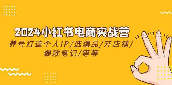 2024小红书电商实战营，养号打造IP/选爆品/开店铺/爆款笔记/等等（24节）-项目网