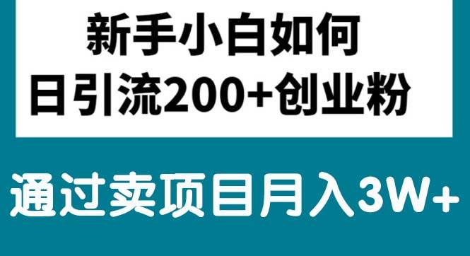 新手小白日引流200+创业粉,通过卖项目月入3W+-项目网