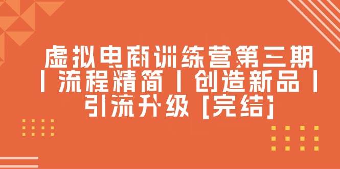 虚拟电商训练营第三期丨流程精简丨创造新品丨引流升级 [完结]-项目网