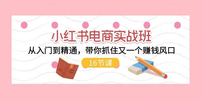 小红书电商实战班，从入门到精通，带你抓住又一个赚钱风口（16节）-项目网