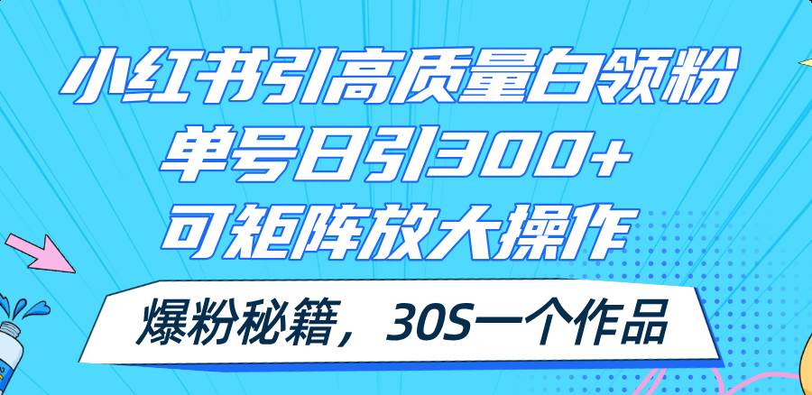 小红书引高质量白领粉，单号日引300+，可放大操作，爆粉秘籍！30s一个作品-项目网