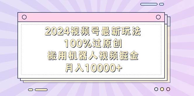2024视频号最新玩法，100%过原创，搬用机器人视频掘金，月入10000+-项目网