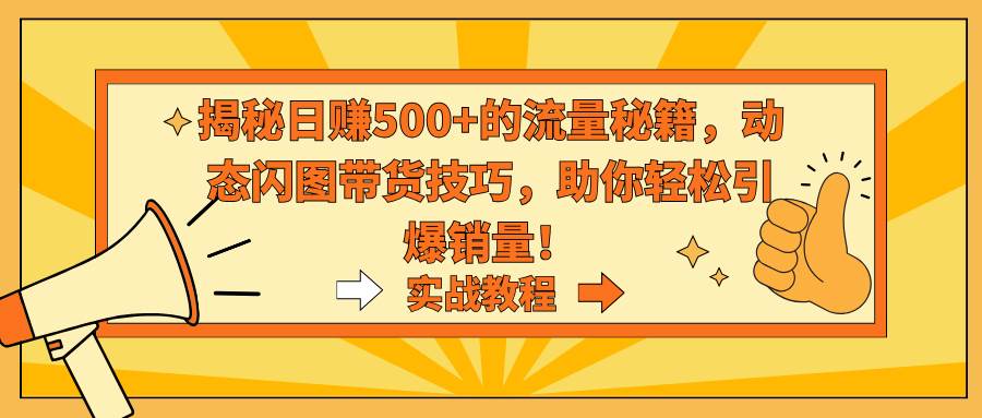 揭秘日赚500+的流量秘籍，动态闪图带货技巧，助你轻松引爆销量！-项目网