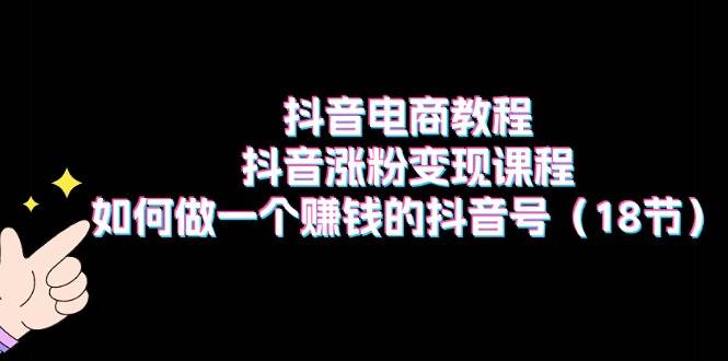 抖音电商教程：抖音涨粉变现课程：如何做一个赚钱的抖音号（18节）-项目网