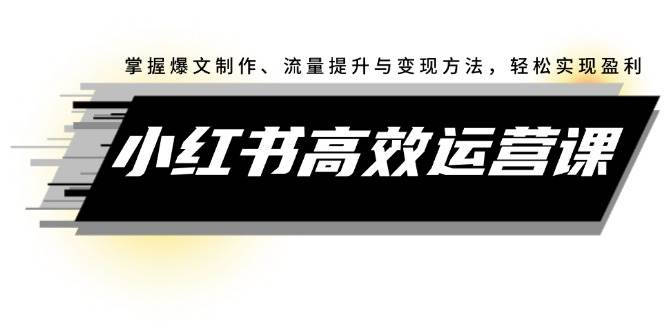 小红书高效运营课：掌握爆文制作、流量提升与变现方法，轻松实现盈利-项目网