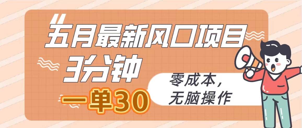 五月最新风口项目，3分钟一单30，零成本，无脑操作-项目网