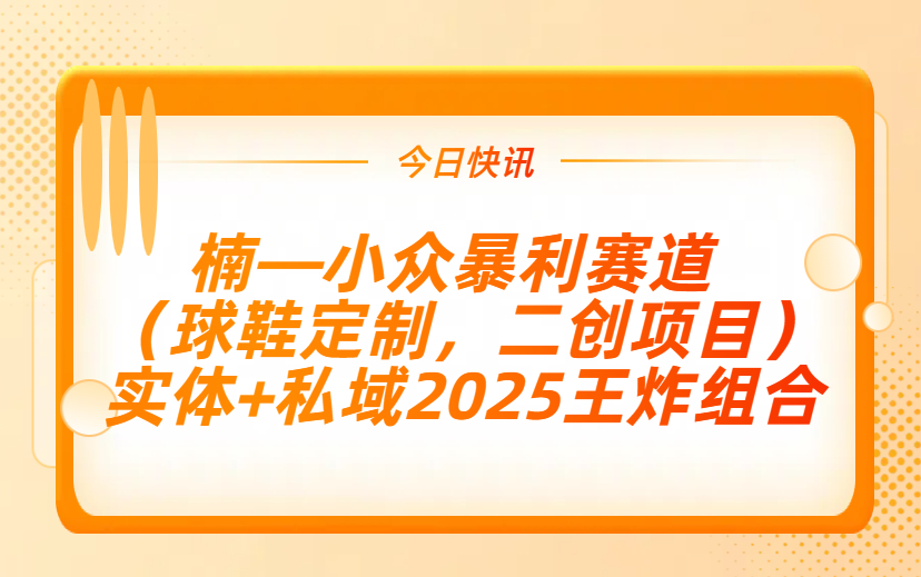 楠—小众暴利赛道（球鞋定制，二创项目）实体+私域2025王炸组合-项目网