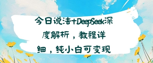 今日说法+DeepSeek深度解析，教程详细，纯小白可变现-项目网