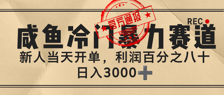 闲鱼，冷门暴力赛道，一单 80%利润，新人轻松日入 3000+-项目网