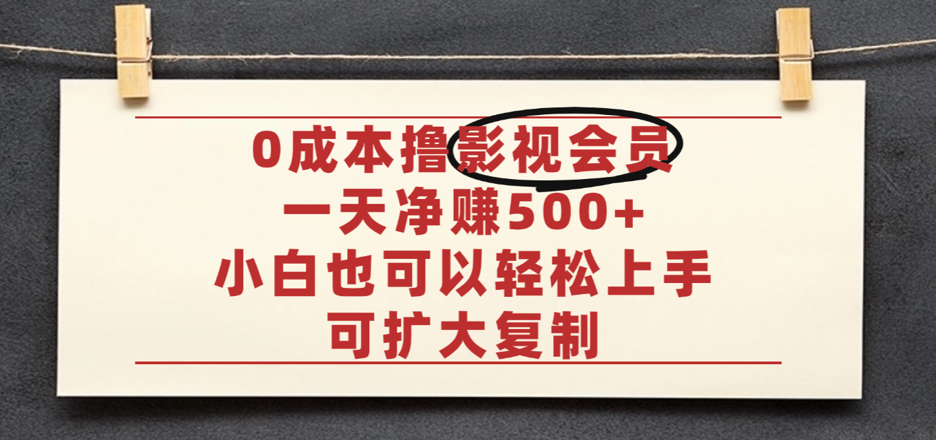 亲测,0成本可批量操作,靠卖影视会员实测月入30000+-项目网