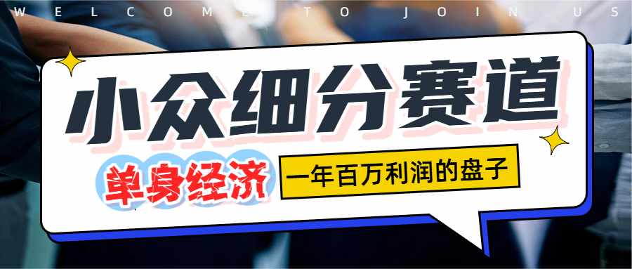 单身经济赛道,一天1000+-项目网