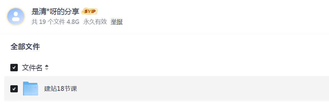 图片[4]-花600做了个网站，1年挣了50万《2026年小红书最新玩法干货分享》-项目网