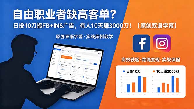 自由职业者缺高客单？日投 10 刀搞 FB+INS 广告，有人 10 天赚 3000 刀！【原创双语字幕】-项目网