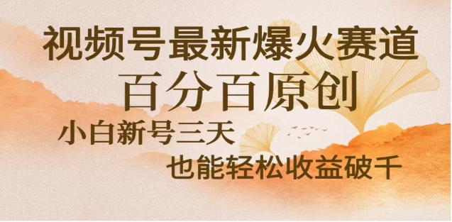 视频号独家玩法，老年养生赛道，无脑搬运爆款视频，日入2000+-项目网