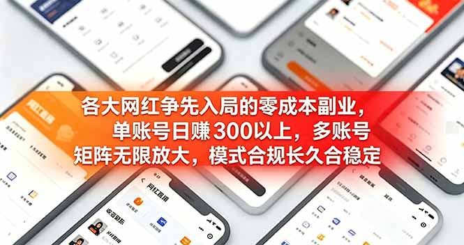 各大网红争先入局的零成本副业，单账号日赚 300 以上，多号矩阵可放大，模式合规长久稳定！-项目网