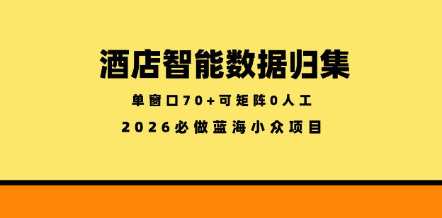 酒店智能数据归集，小众蓝海已经稳定半年之久，单窗口70+零成本矩阵开干【揭秘】-项目网