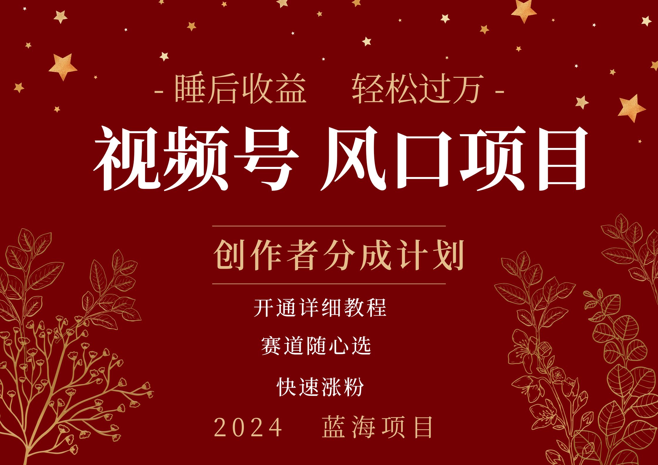 拥有睡眠收益的微信视频号大风口项目，轻松月入过万+，多赛道选择，可矩阵，玩法简单轻松上手-项目网