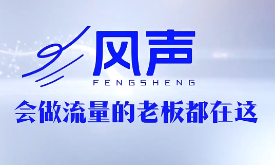 董十一·风声短视频AI获客年度会员-项目网