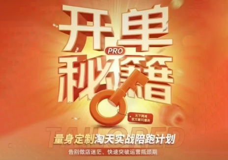 天下网商·淘宝天猫陪跑计划(更新7月)-项目网