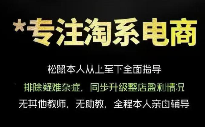 松鼠会电商VIP课程，从基础布局到高阶优化，助你掌握淘宝运营逻辑，提升店铺流量与转化(更新0712)-项目网